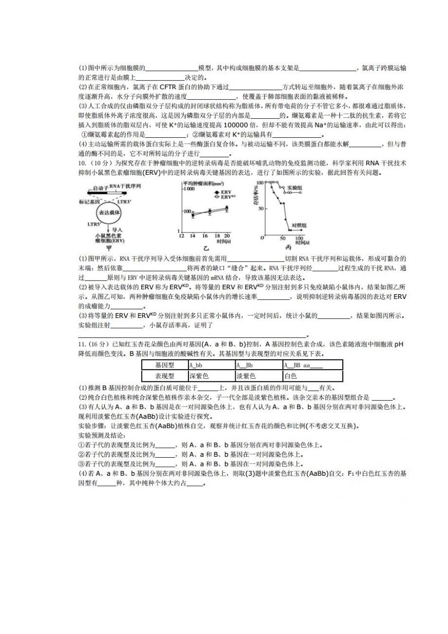 成都七中2014─2015 学年度上学期半期考试高三生物试题_第3页