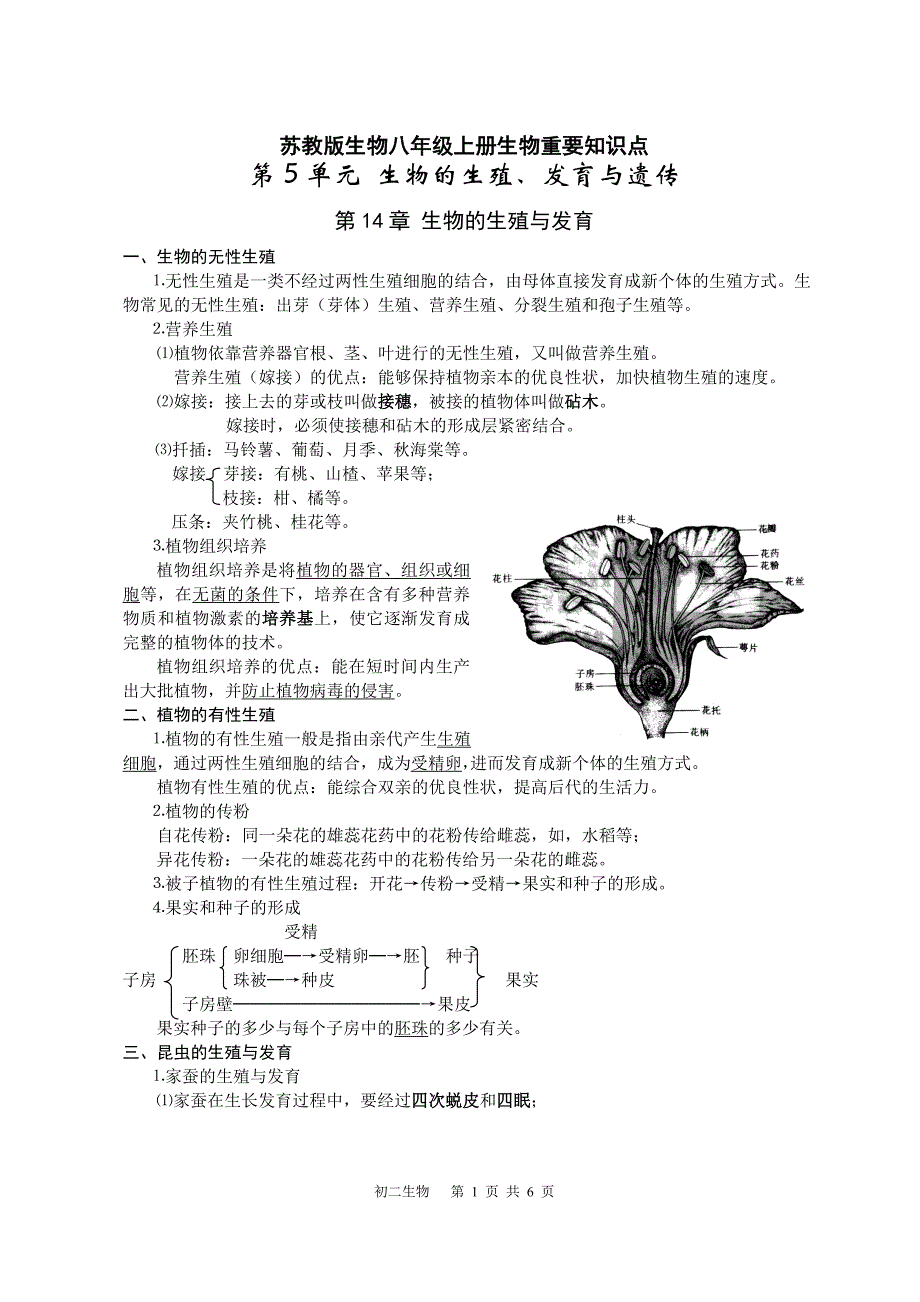 苏教版八年级上学期生物复习提纲_第1页