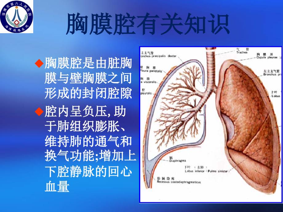 胸腔闭式引流术2_第3页