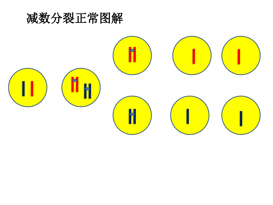 高考模拟训练一习题讲评_第3页