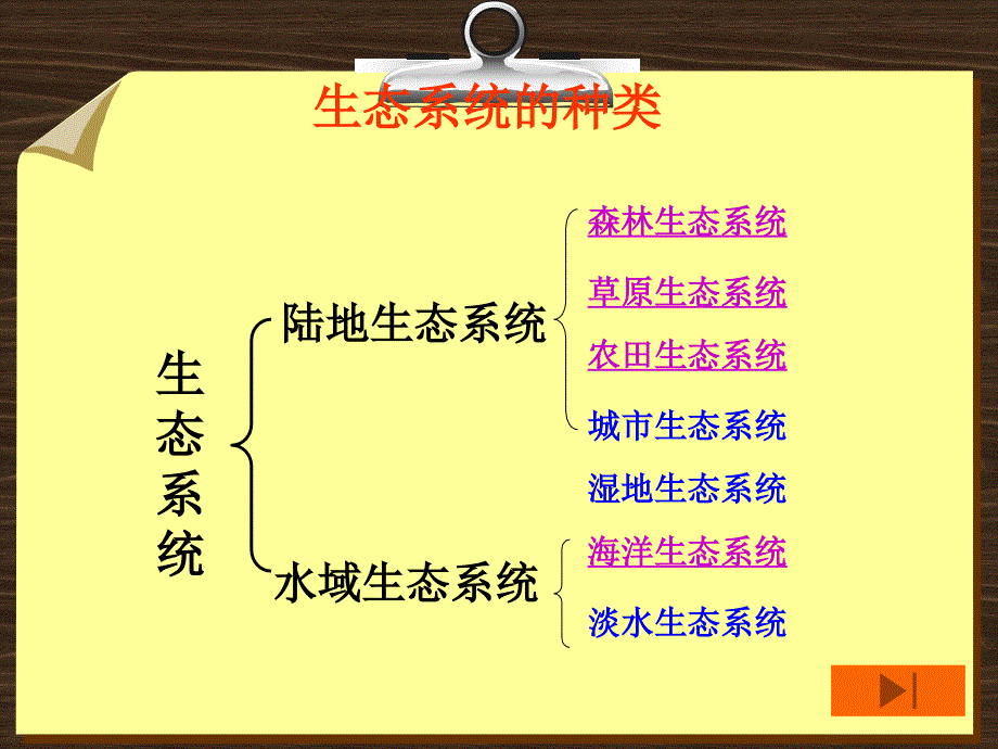 1.2.3__生物圈是最大的生态系统_第3页