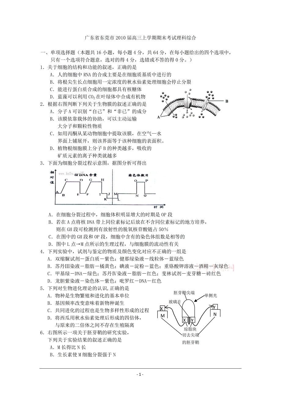 东莞市2010.11.12.13届高三上学期期末考试(理综生物)_第1页