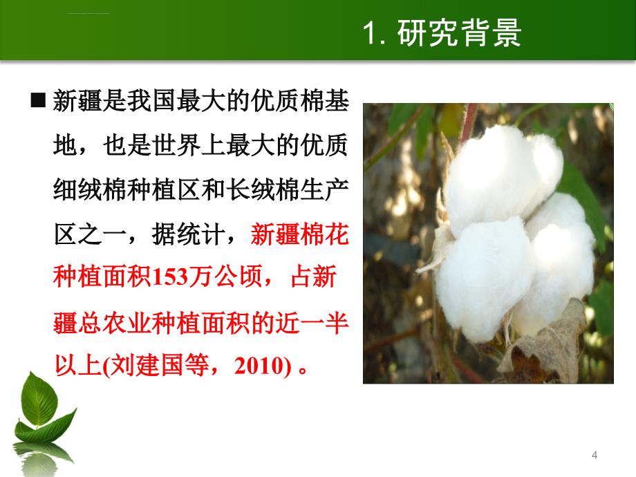 (硕士毕业论文答辩)地膜残留对棉花产量影响的极限研究_第4页
