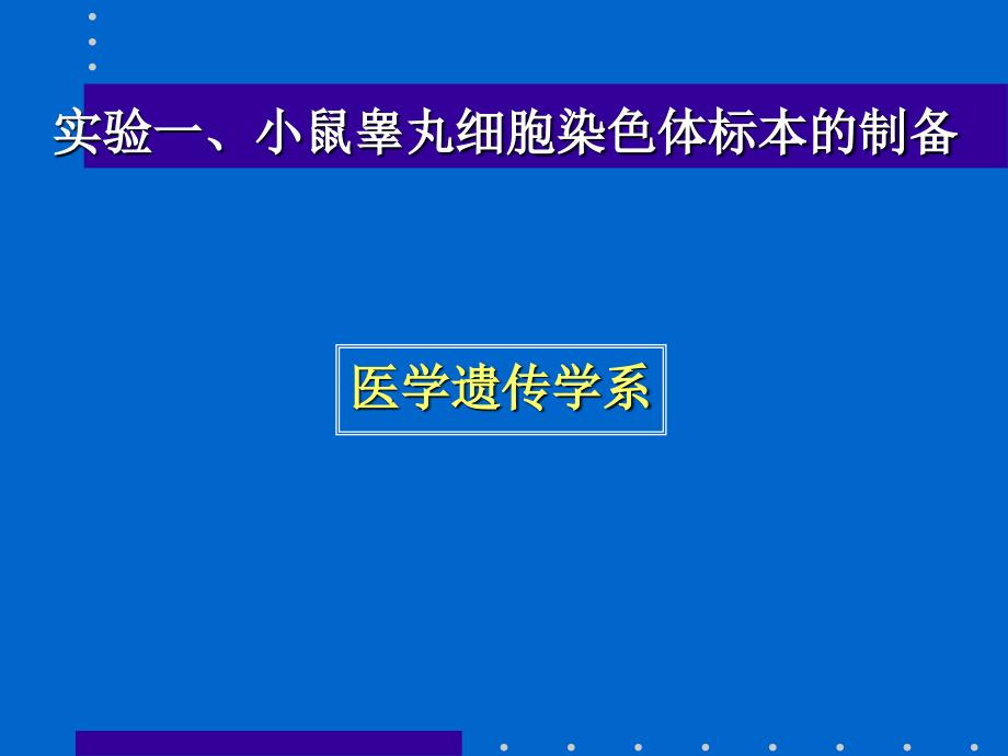 《医学遗传学实验》——小鼠睾丸染色体制备_第1页