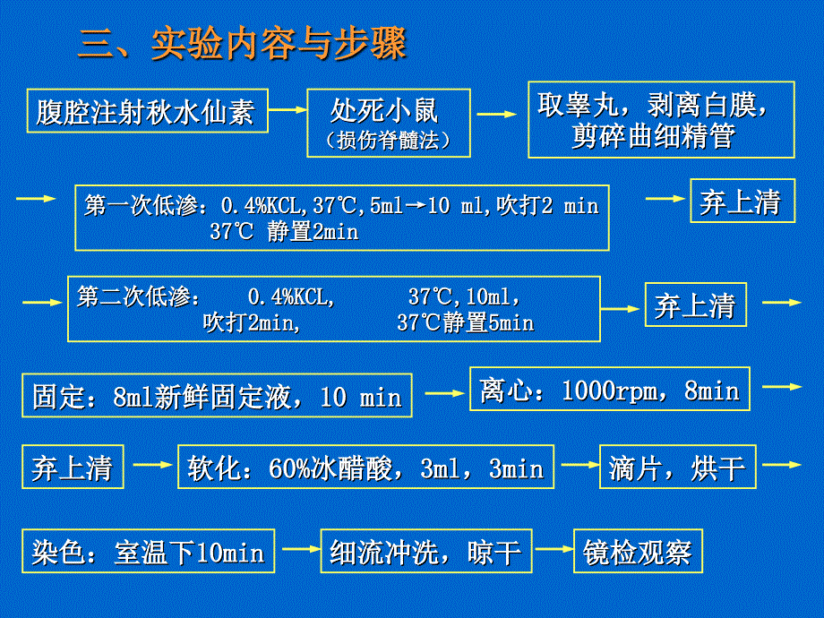 《医学遗传学实验》——小鼠睾丸染色体制备_第4页