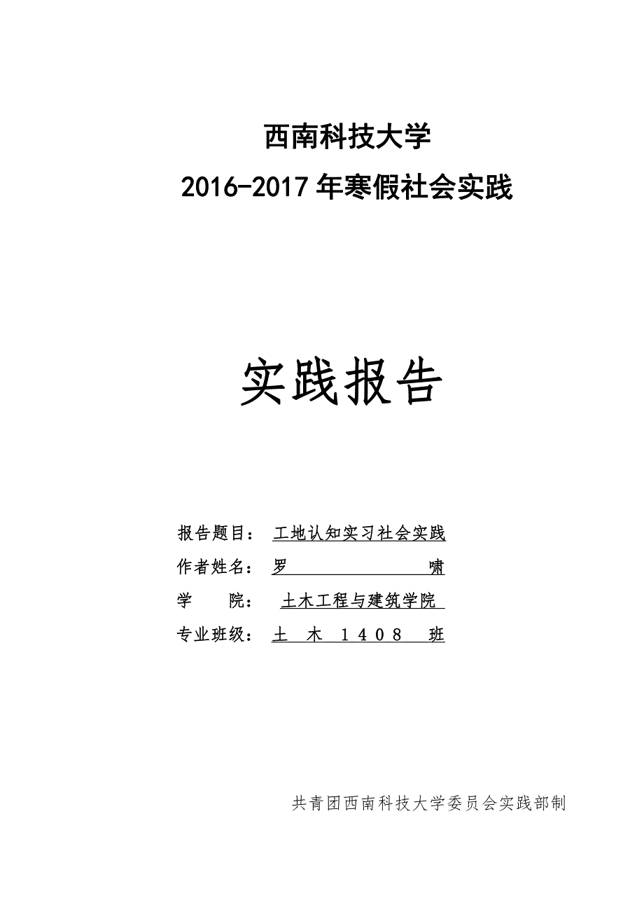 个人社会实践_第1页