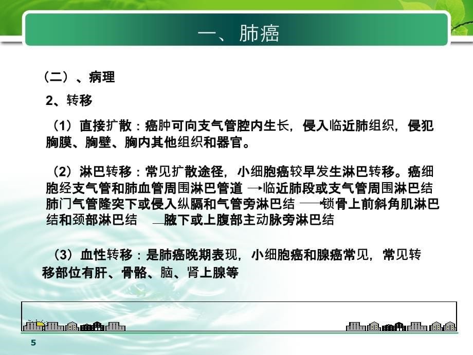 肺和支气管肿瘤医学PPT_第5页