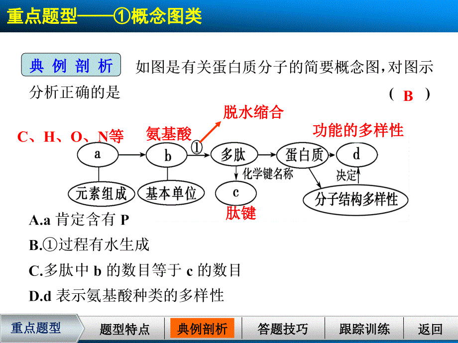 2015届《步步高》高考生物复习资料考能专项突破(一)_第4页