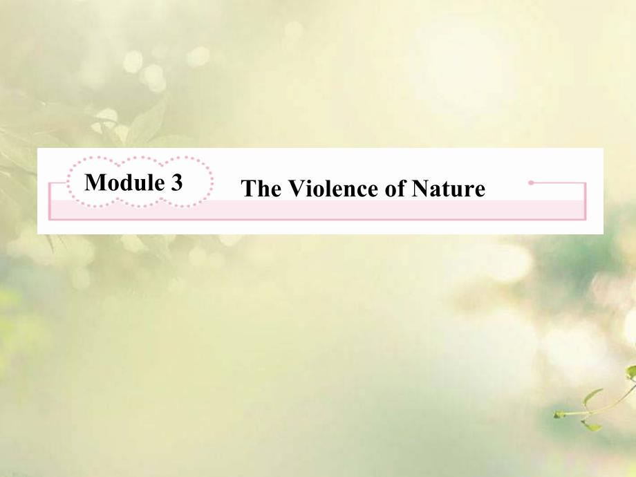 高考英语总复习 Unit3 The Violence of Nature精品课件 外研版必修3_第2页