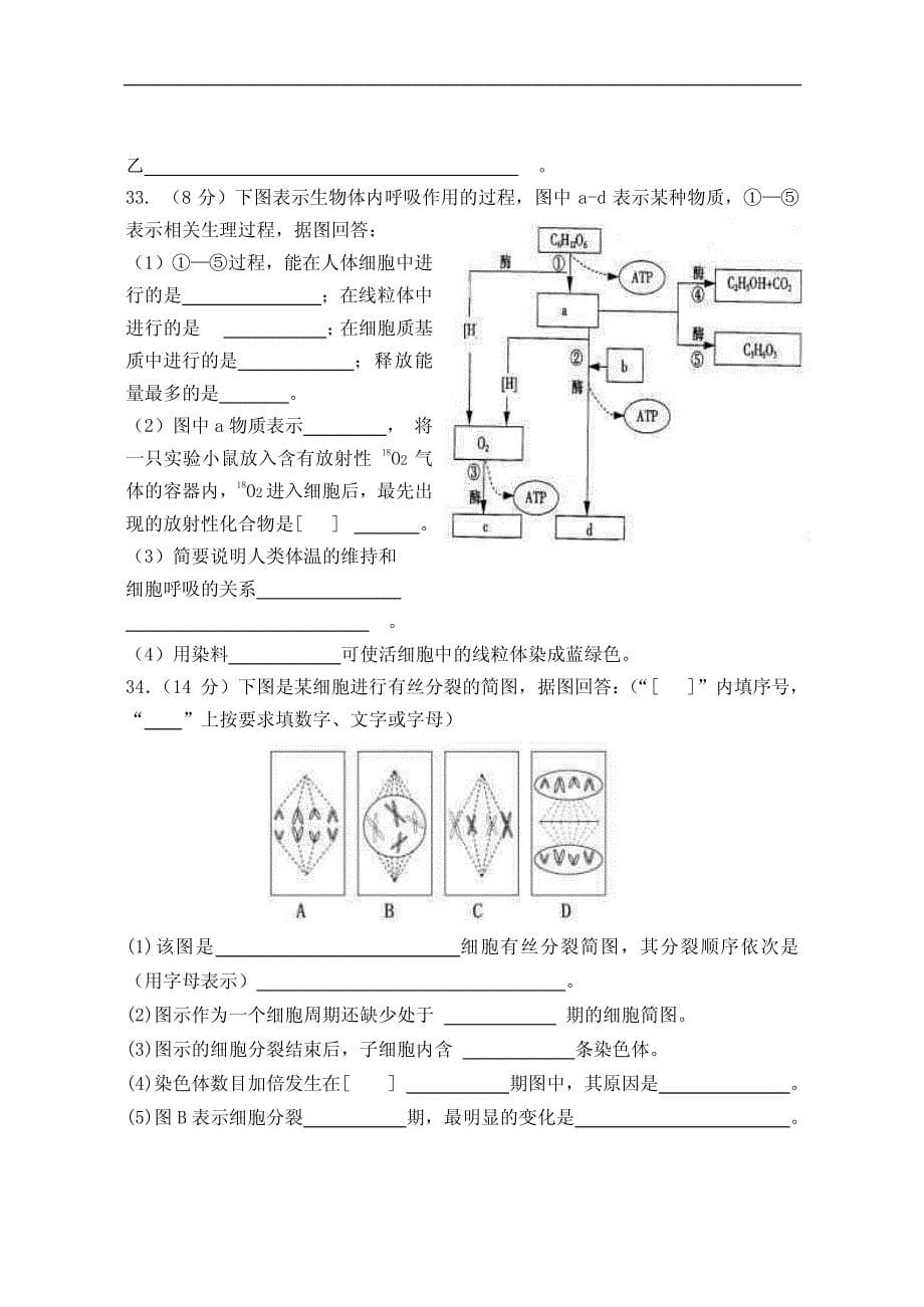 2011届高一生物上册期末测试题14_第5页