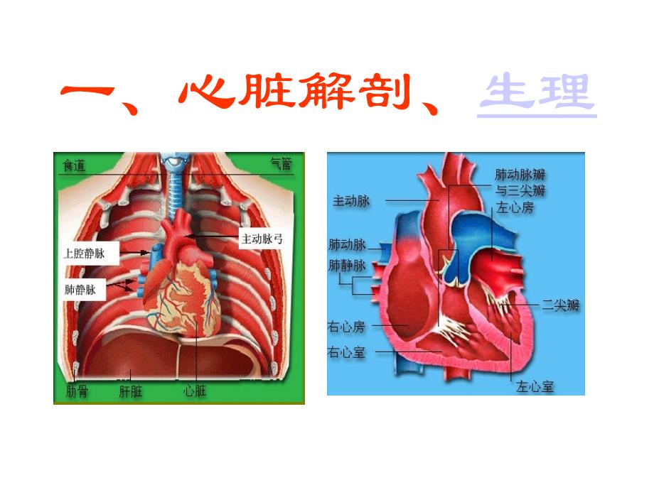 【二尖瓣狭窄-主动脉瓣关闭不全】---最新课件_第2页