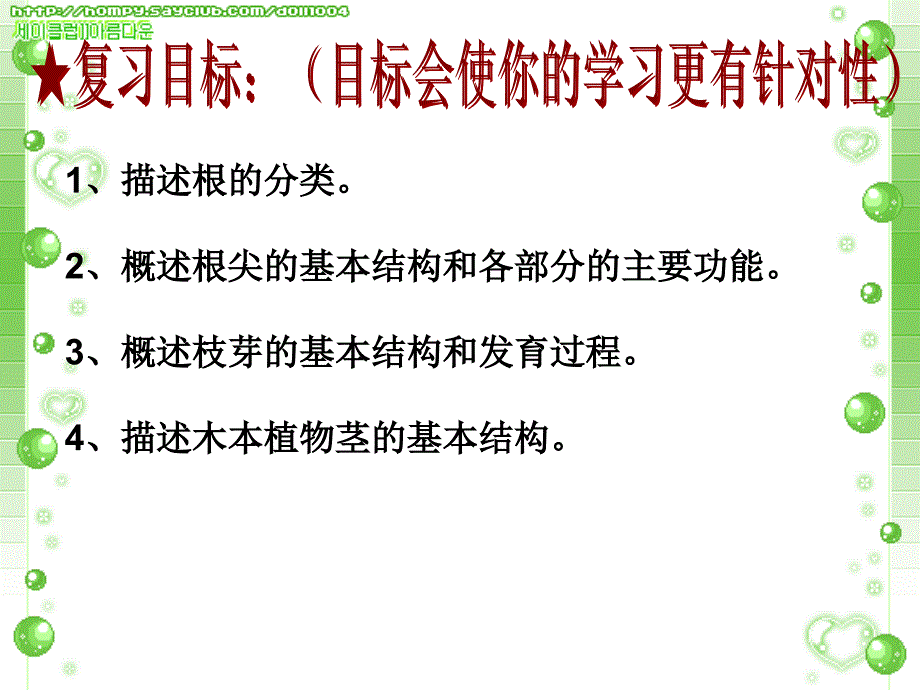 八上根、芽的类型与结构 复习课_第3页