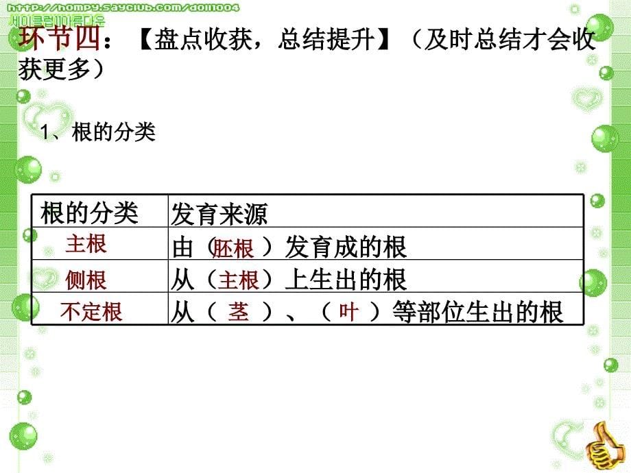 八上根、芽的类型与结构 复习课_第5页