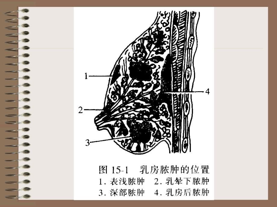 胸部疾病病人的护理_第5页