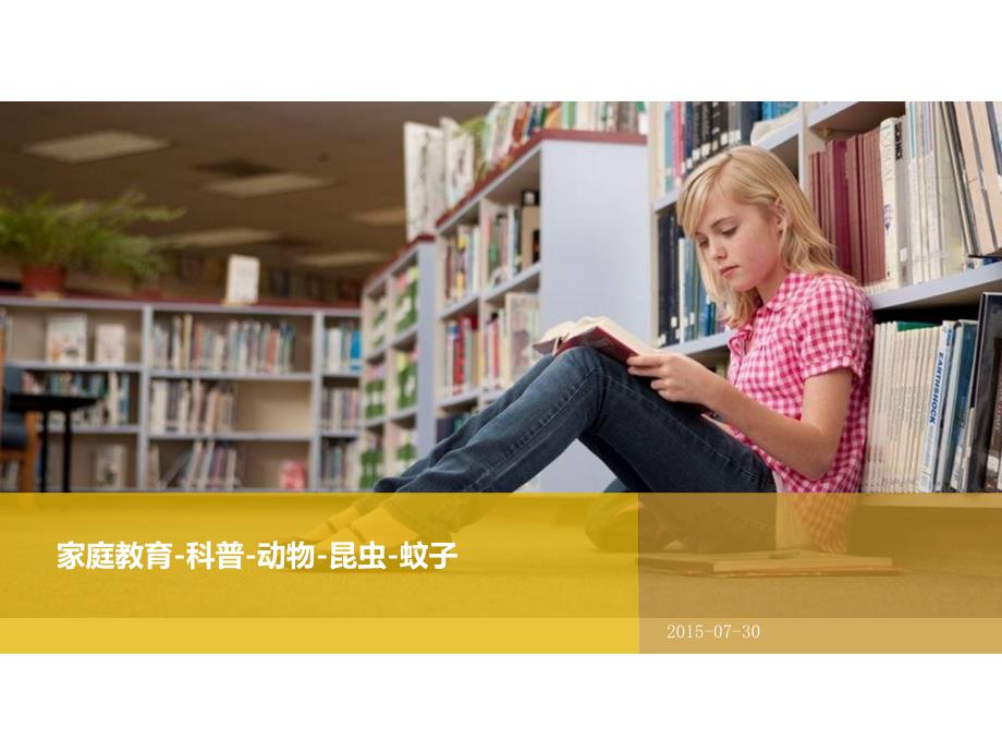 家庭教育科普蚊子_第1页