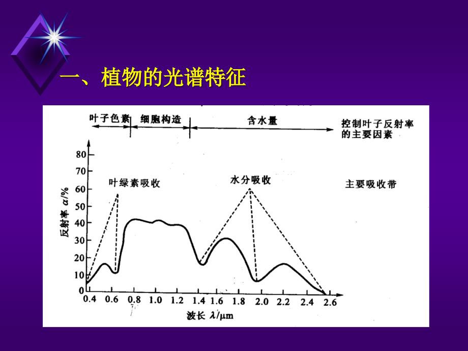 植被遥感光谱分析_第3页