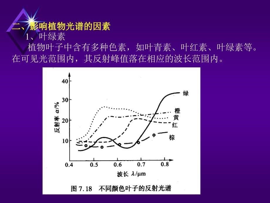 植被遥感光谱分析_第5页