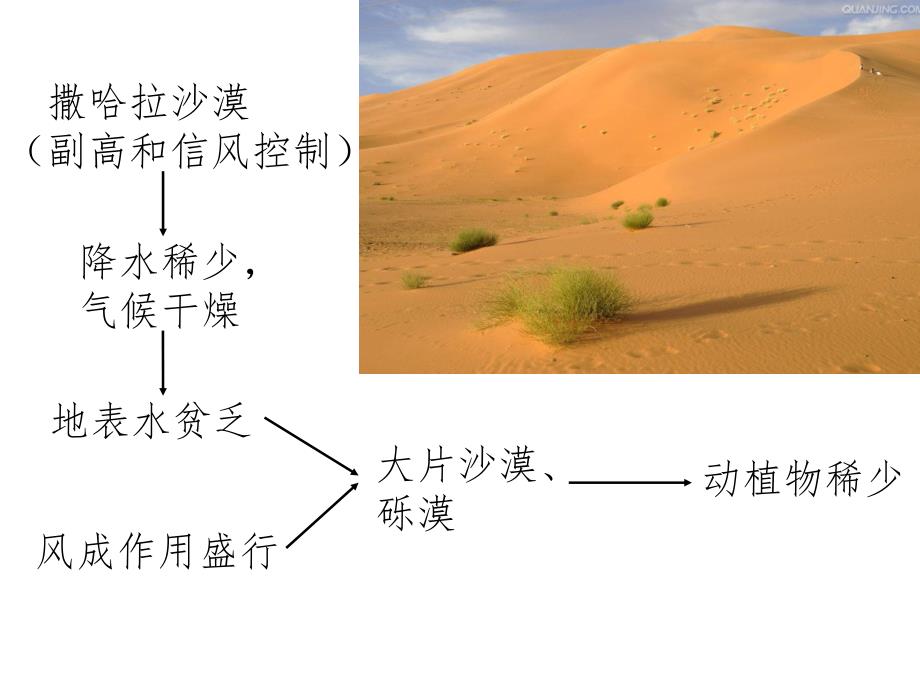 地理环境的整体性与差异性_第3页