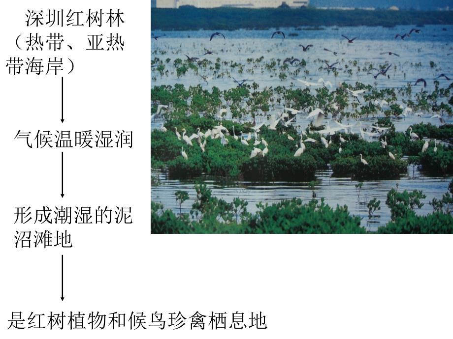 地理环境的整体性与差异性_第4页