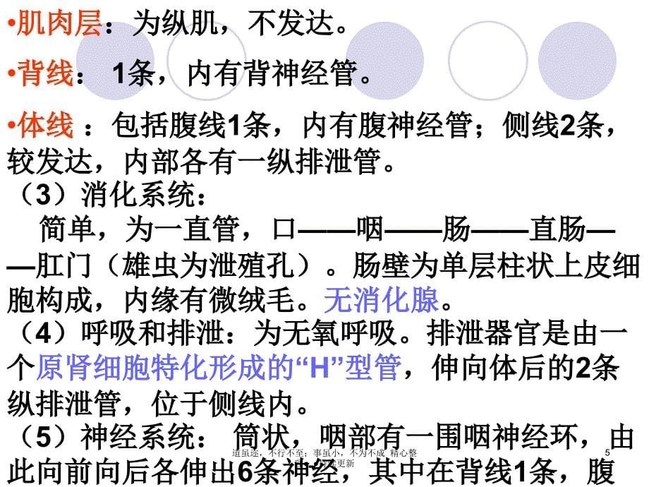 体腔动物(Pseudocoelomata)_第5页