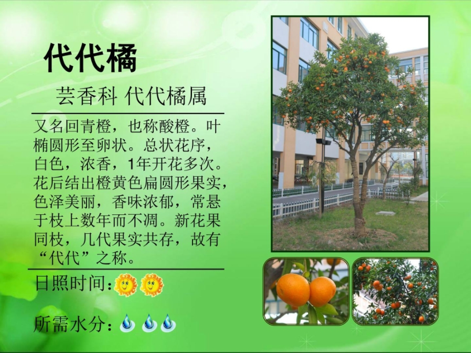 [精彩]植物介绍_幼儿读物_幼儿教导_教导专区_第3页