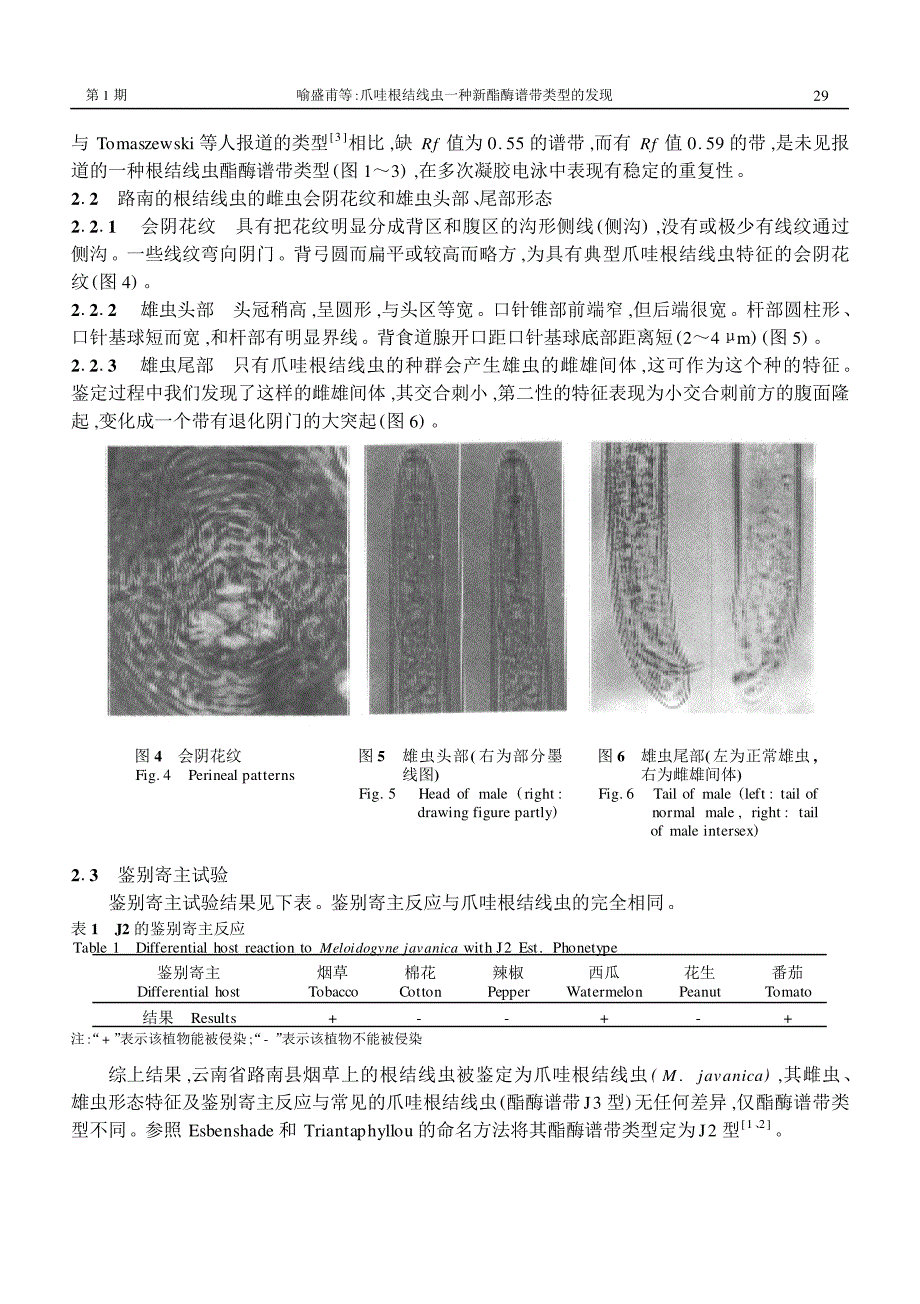 爪哇根结线虫一种新酯酶谱带类型的发现_第3页