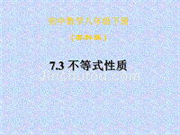 【实验基地】八下 7.3不等式的基本性质