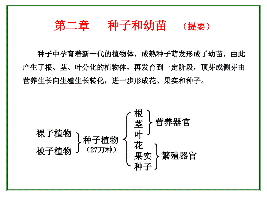 种子及根(一)_第1页