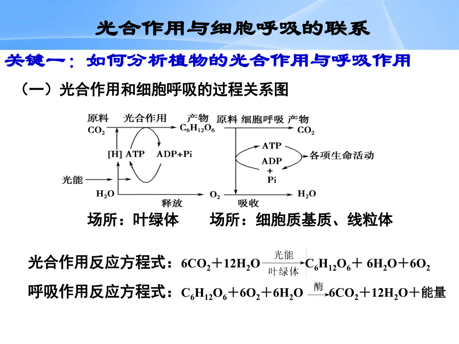 2015学年高三一轮复习 光合作用与细胞呼吸的关系_第2页