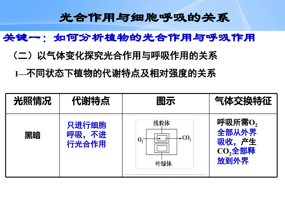 2015学年高三一轮复习 光合作用与细胞呼吸的关系_第3页