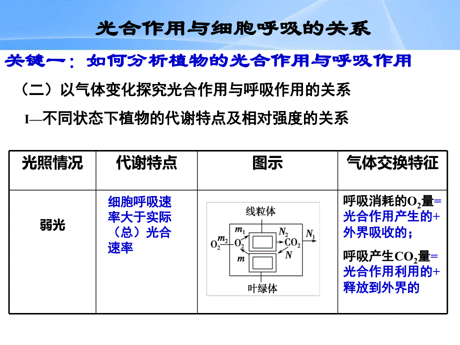 2015学年高三一轮复习 光合作用与细胞呼吸的关系_第4页