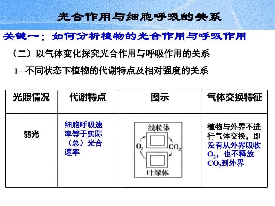 2015学年高三一轮复习 光合作用与细胞呼吸的关系_第5页