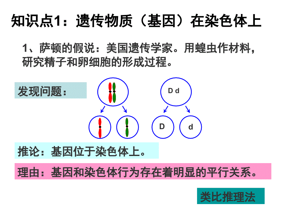 遗传物质的发现_第2页