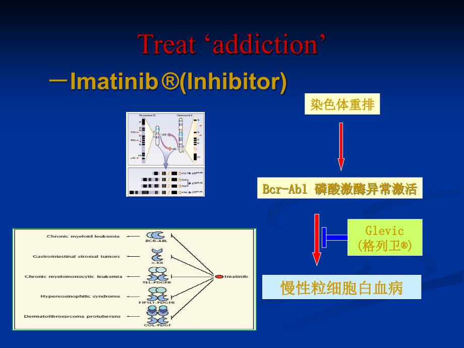 恶性血液病的靶向治疗——马 军教授_第4页