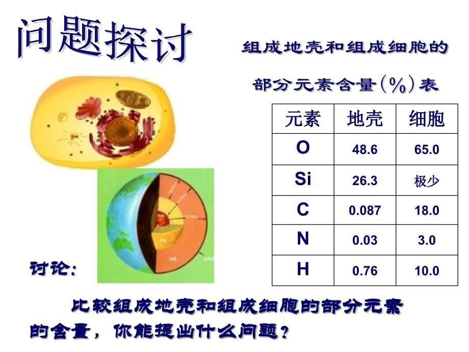 《细胞中的元素和化合物》课件3_第5页