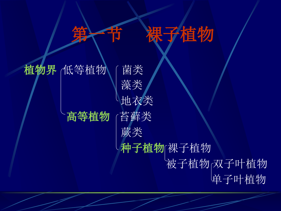 园林树木学各论-卓丽环_第3页