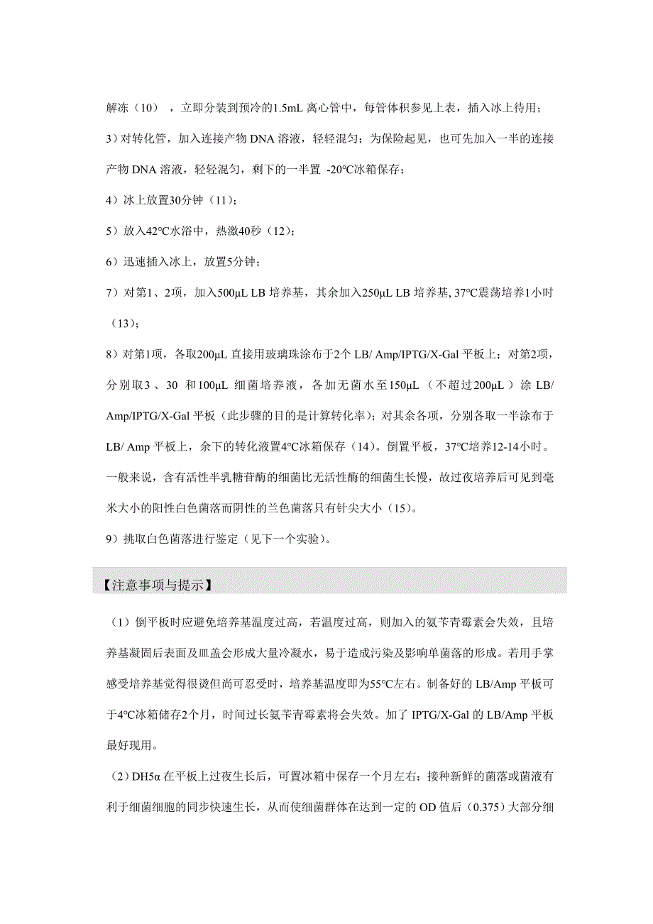 实验六 感受态细胞的制备和重组质粒的转化_第4页