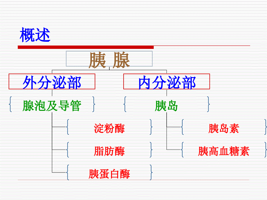 胰腺的超声诊断_第2页