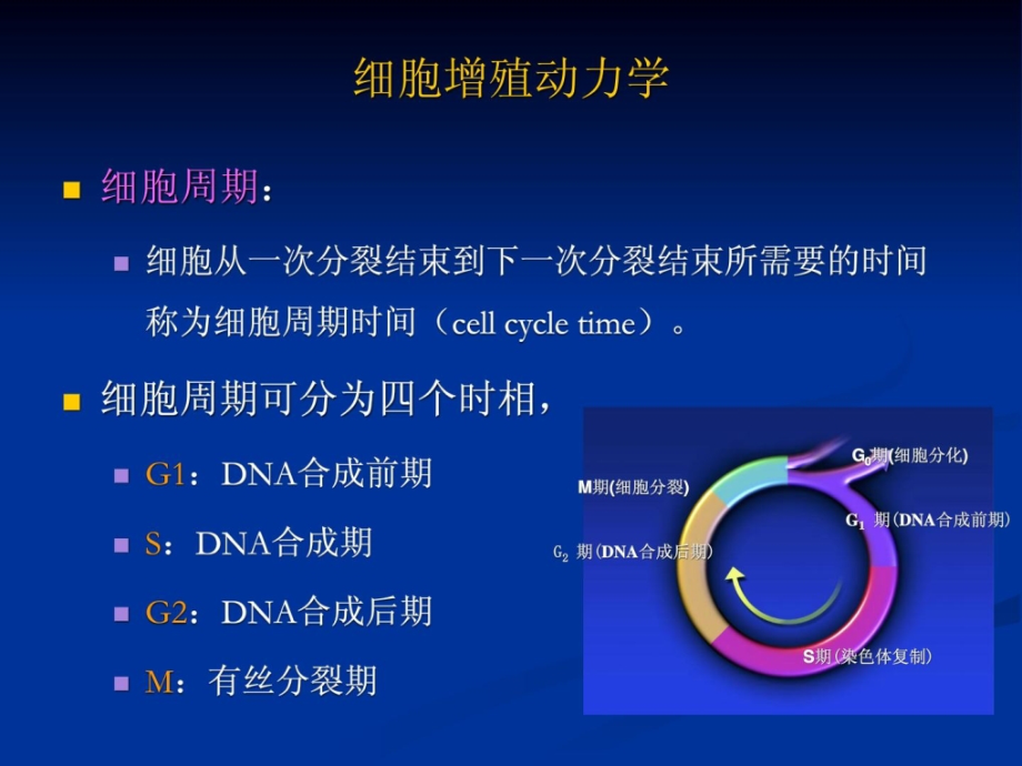 肿瘤的化学治疗_第3页