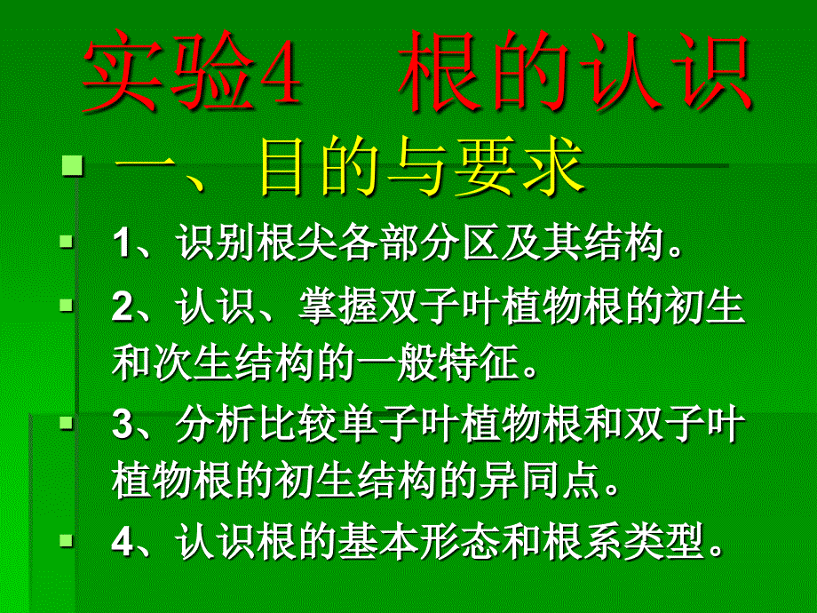 植物二上根的课件_第1页