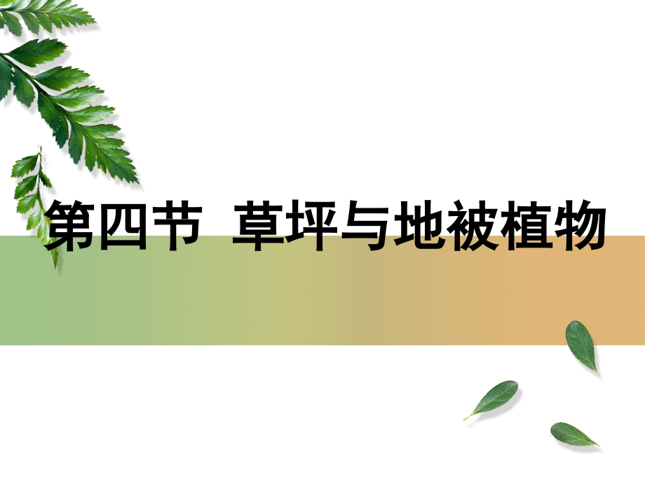 其他园林植物(草坪与地被植物)_第1页