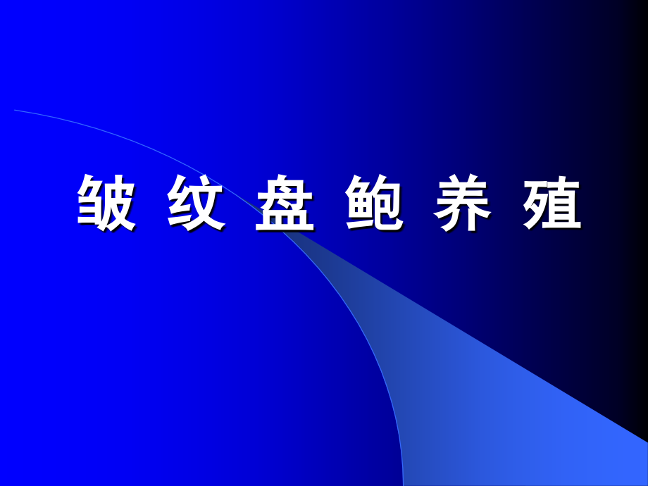 皱纹盘鲍养殖_第1页