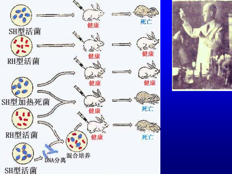 研究生-基因工程_第3页