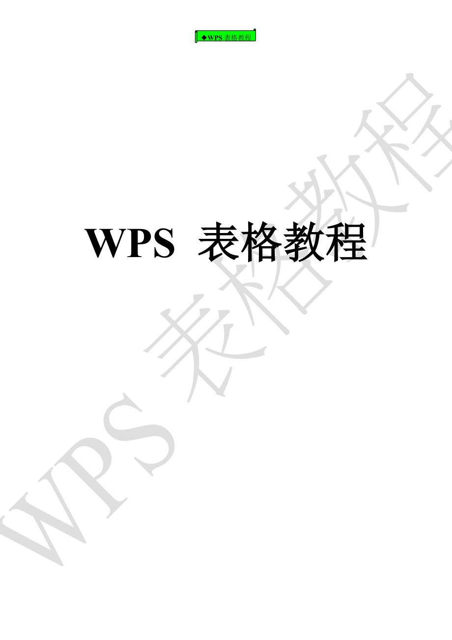 WPS 表格教程_第1页