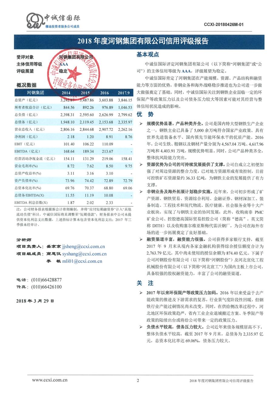 河钢集团有限公司2018年度主体信用评级报告及跟踪评级安排_第2页