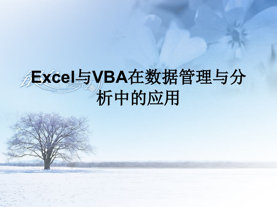 Excel与VBA在数据管理与分析中的应用_第1页