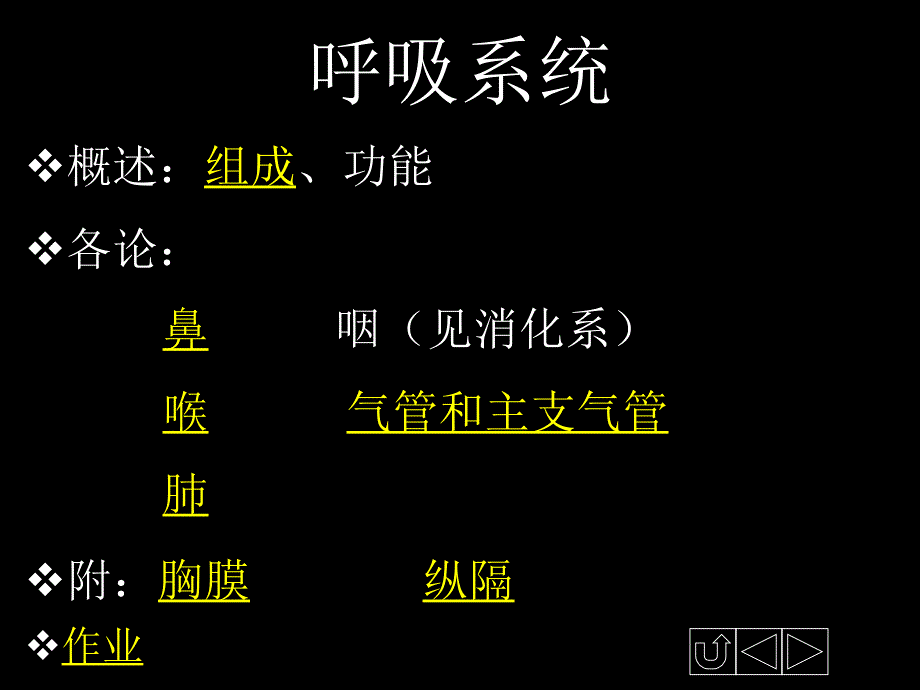 呼吸系统-呼吸系统_第1页