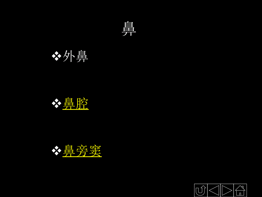 呼吸系统-呼吸系统_第3页