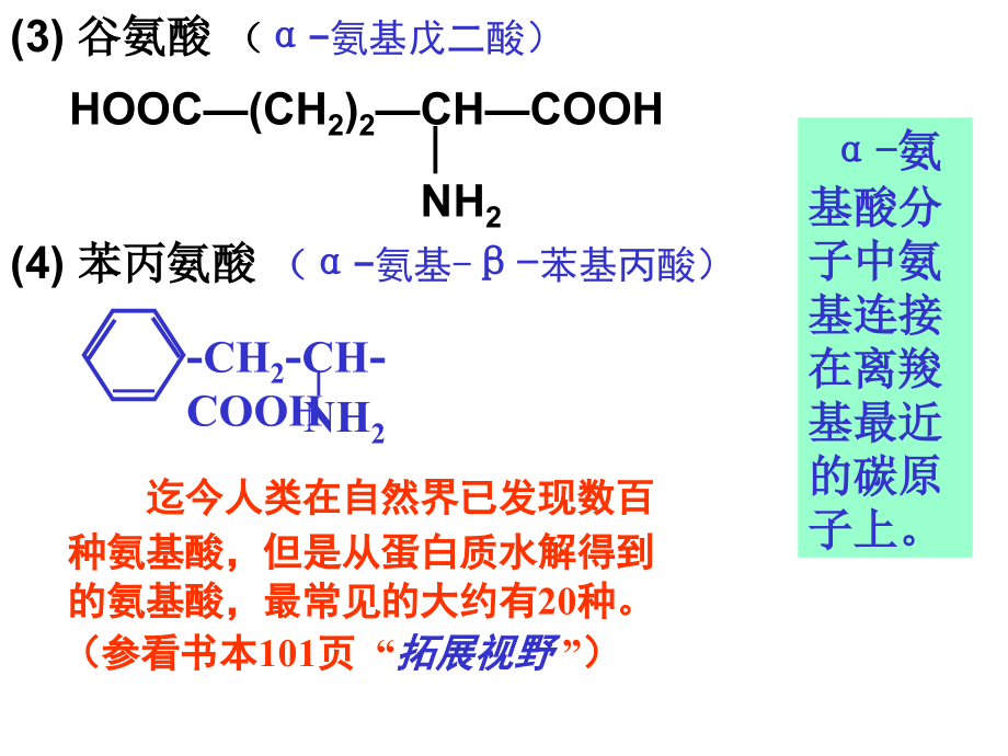 高二化学蛋白质和氨基酸_第4页