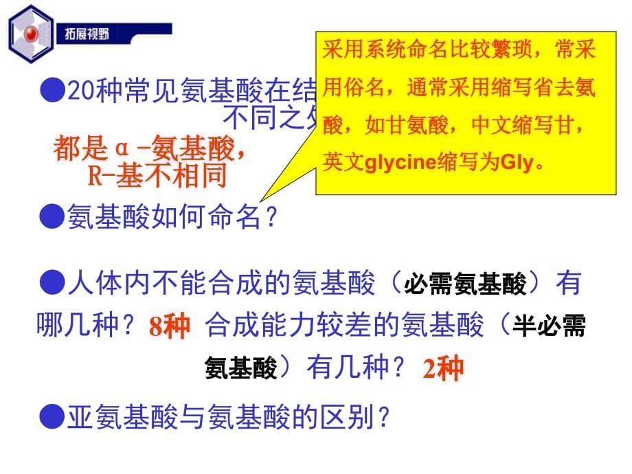 高二化学蛋白质和氨基酸_第5页